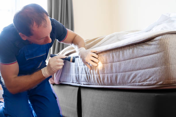 Best Bed Bug Extermination  in Rosebud, SD